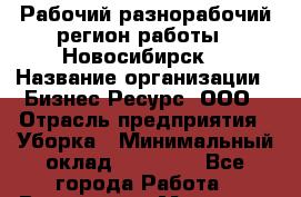 Рабочий-разнорабочий(регион работы - Новосибирск) › Название организации ­ Бизнес Ресурс, ООО › Отрасль предприятия ­ Уборка › Минимальный оклад ­ 22 000 - Все города Работа » Вакансии   . Мордовия респ.